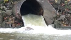 KANALİZASYON SORUNLARI TIKANMA VE TAŞMA