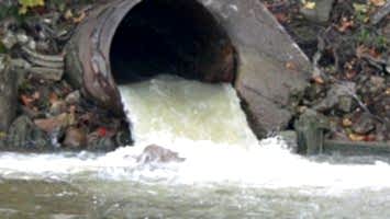 KANALİZASYON SORUNLARI TIKANMA VE TAŞMA